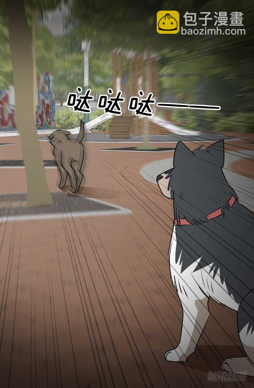 奇特的树16