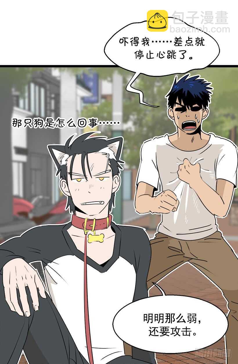 奇特的树17