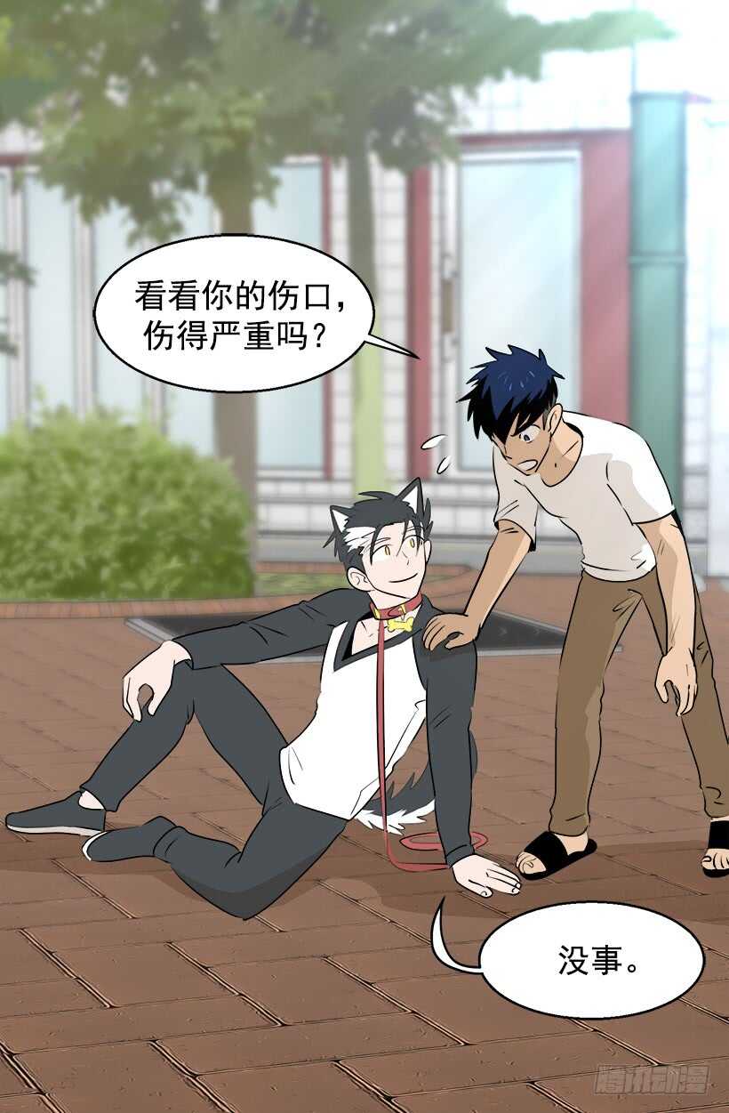 奇特的树18