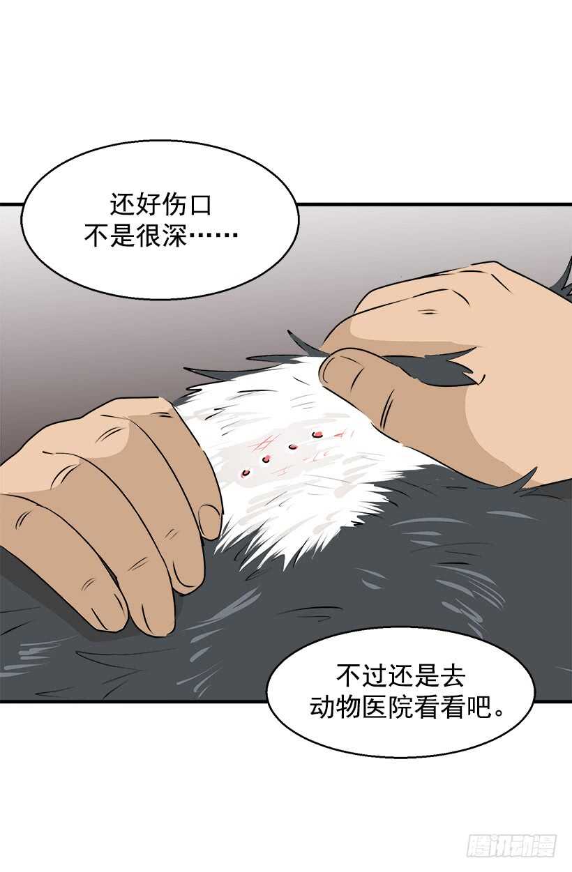 奇特的树19
