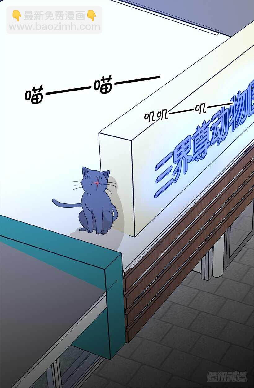 传闻20