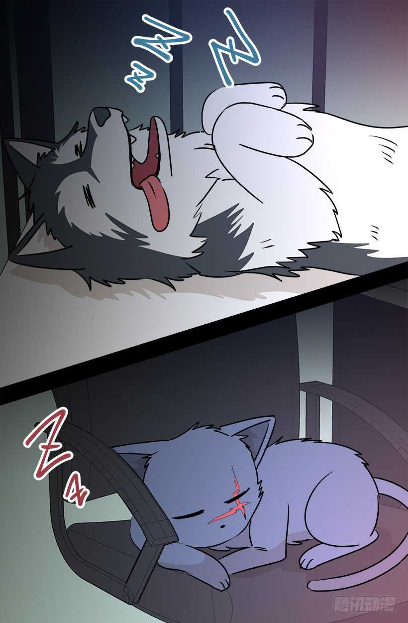 该开始了26