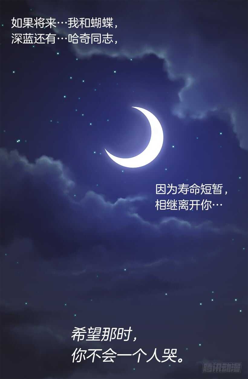 该开始了37