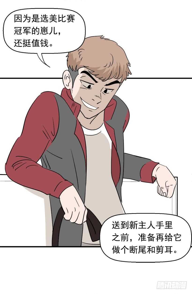 不懂艺术13