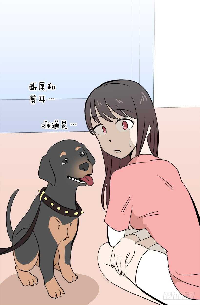 不懂艺术14