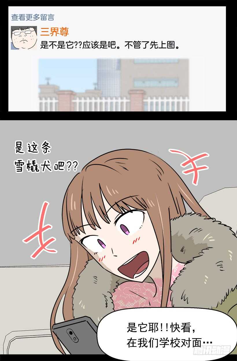 奇怪的女人7