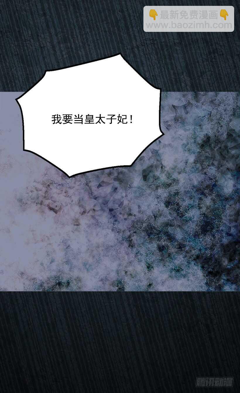 我要当皇太子妃21