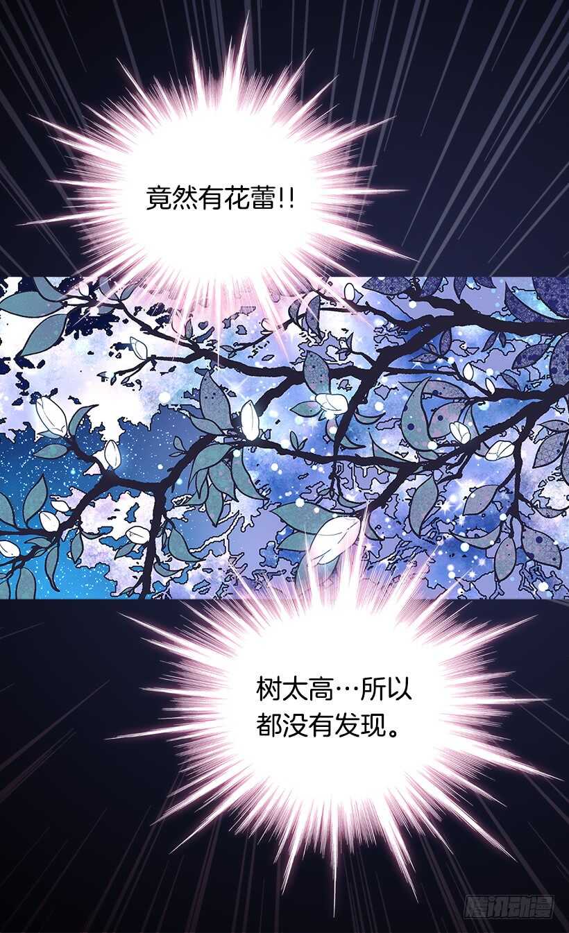 时机未到9