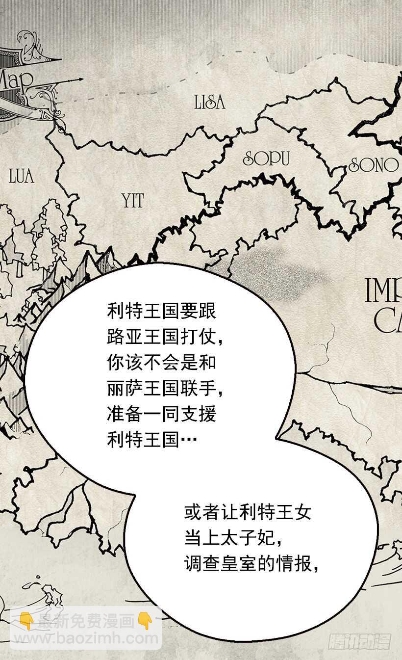 殿下的心意6
