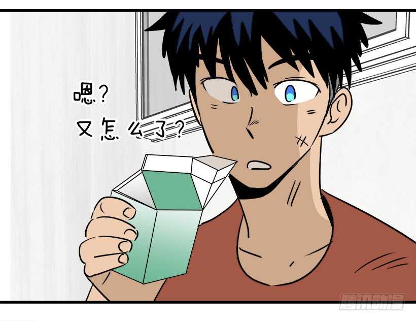 骑士精神10