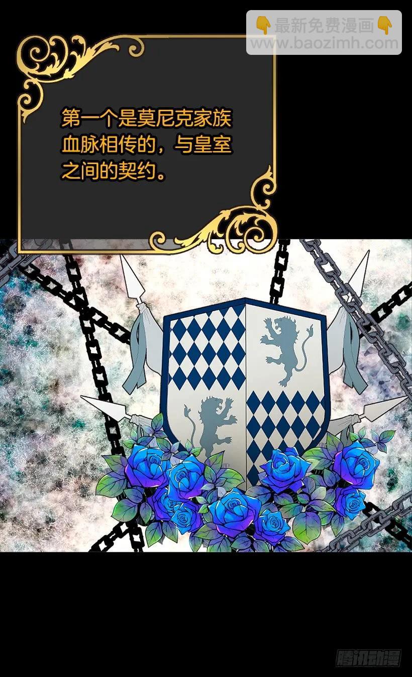 露娜13