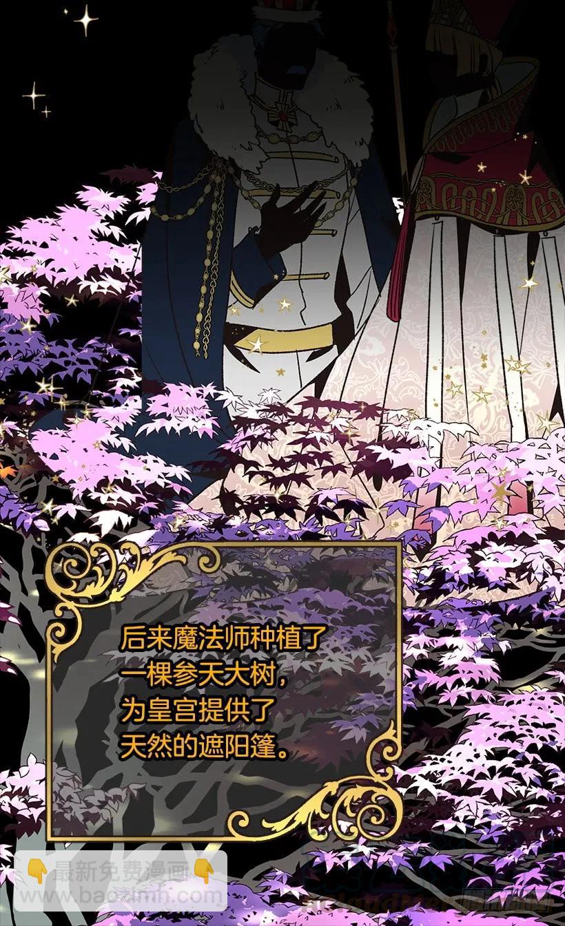 露娜16