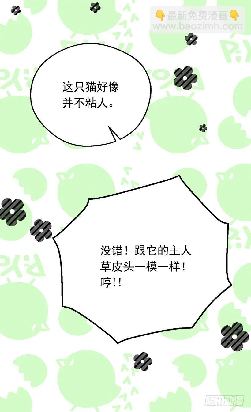 露娜35