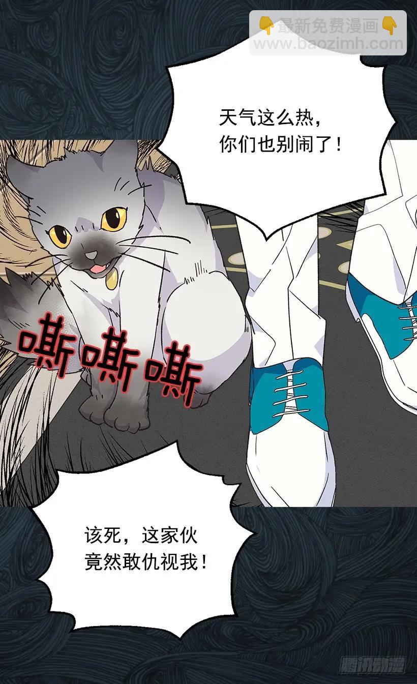 露娜38