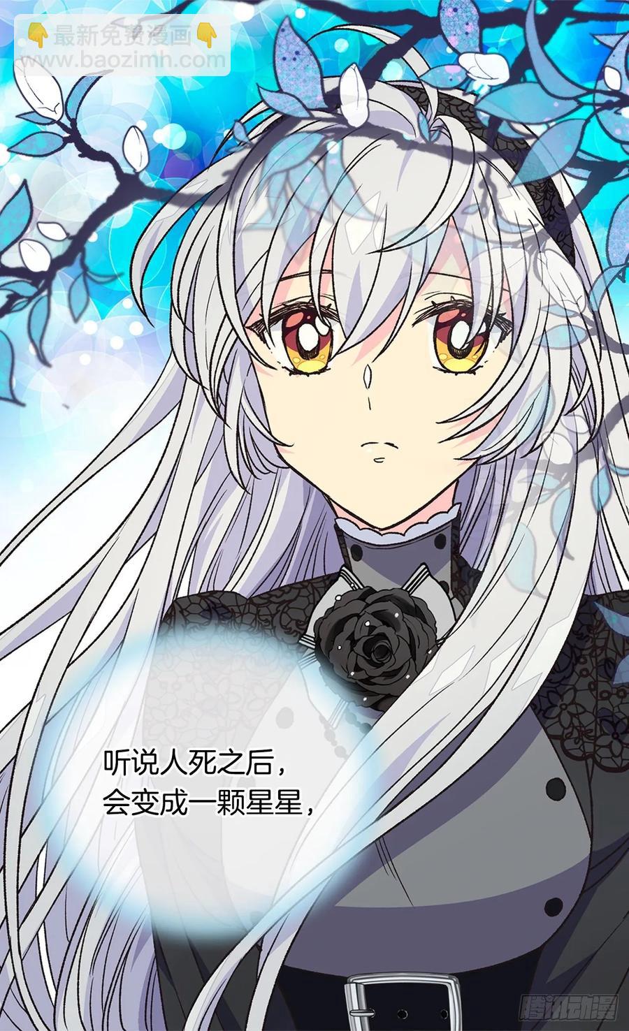 陛下的身世30