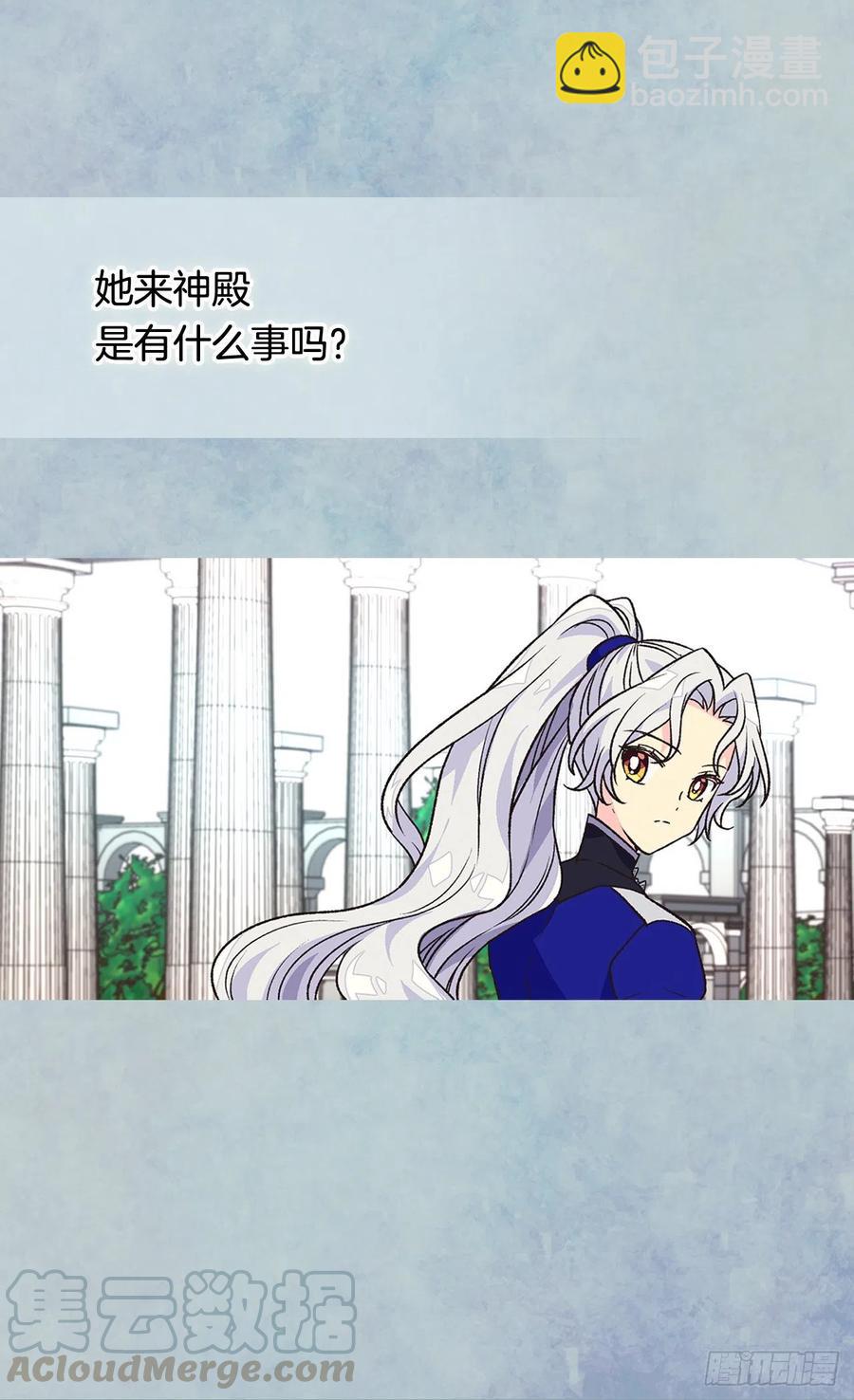 齐内公爵的计划28