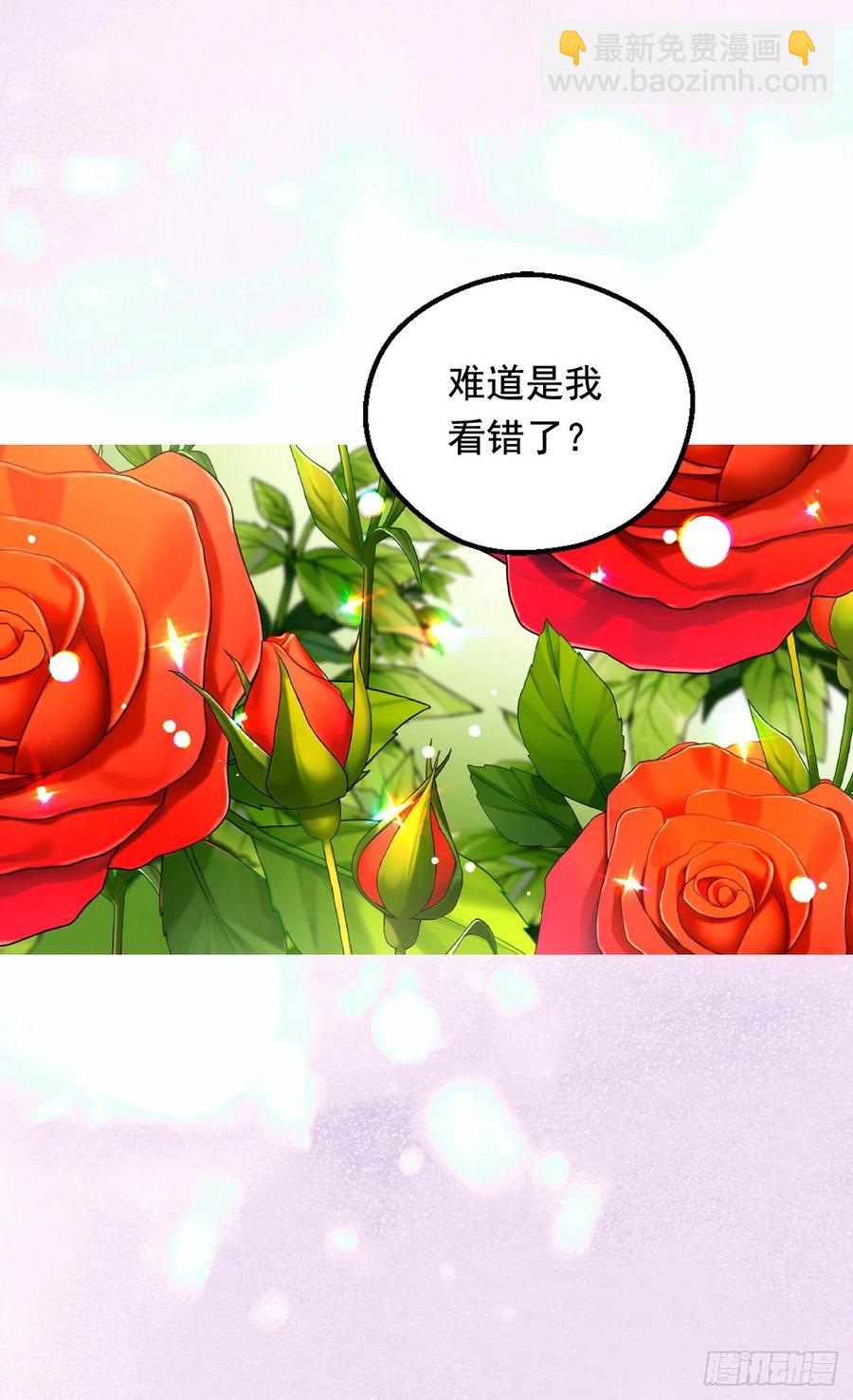 齐内公爵的计划30