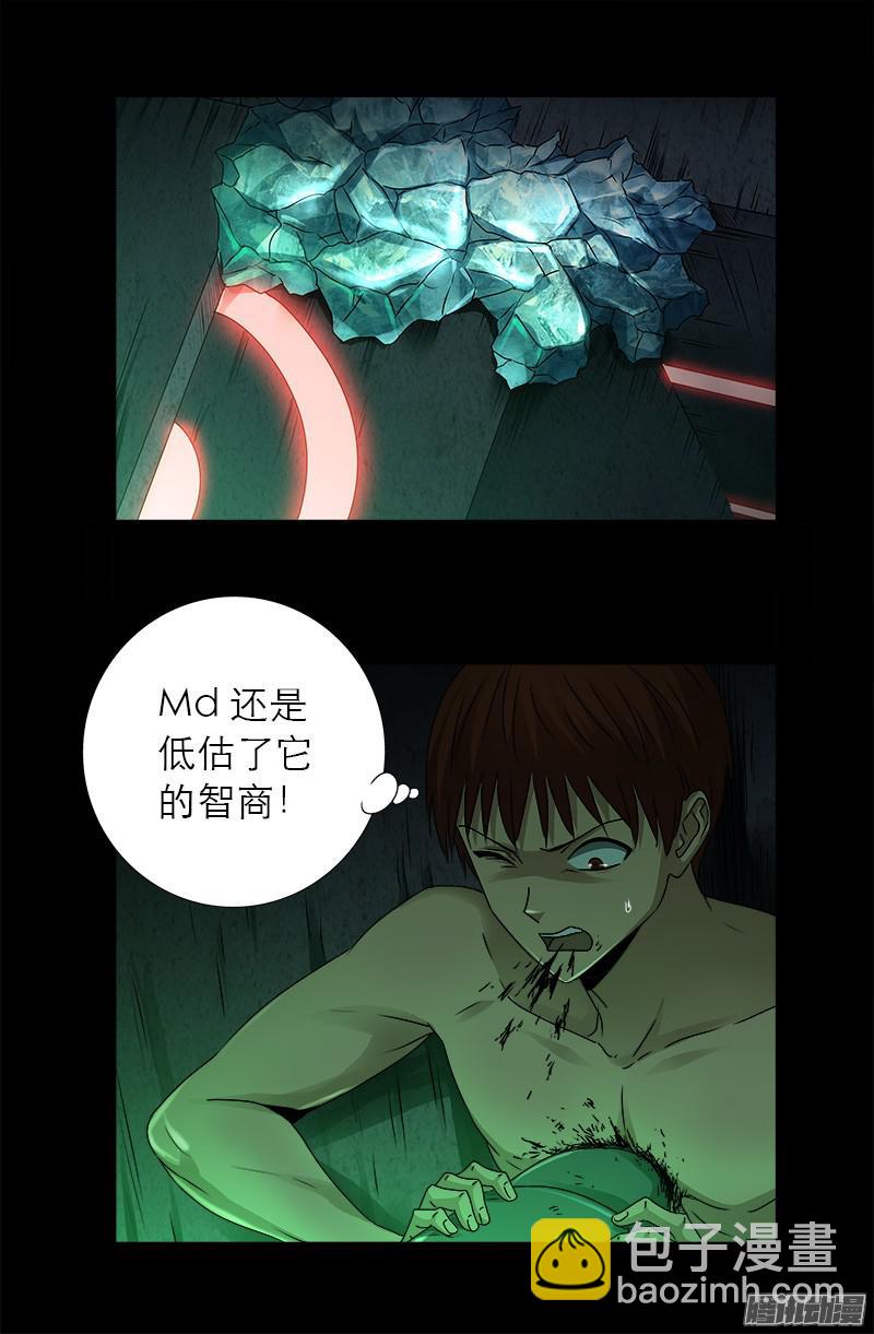 第291话 高智商很危险14