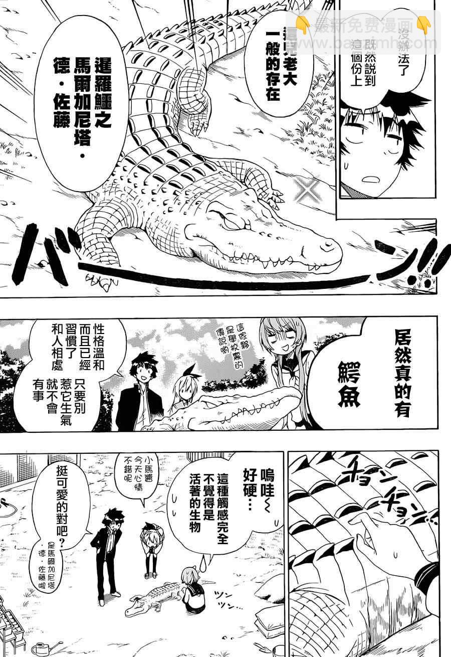 第142话 动物10