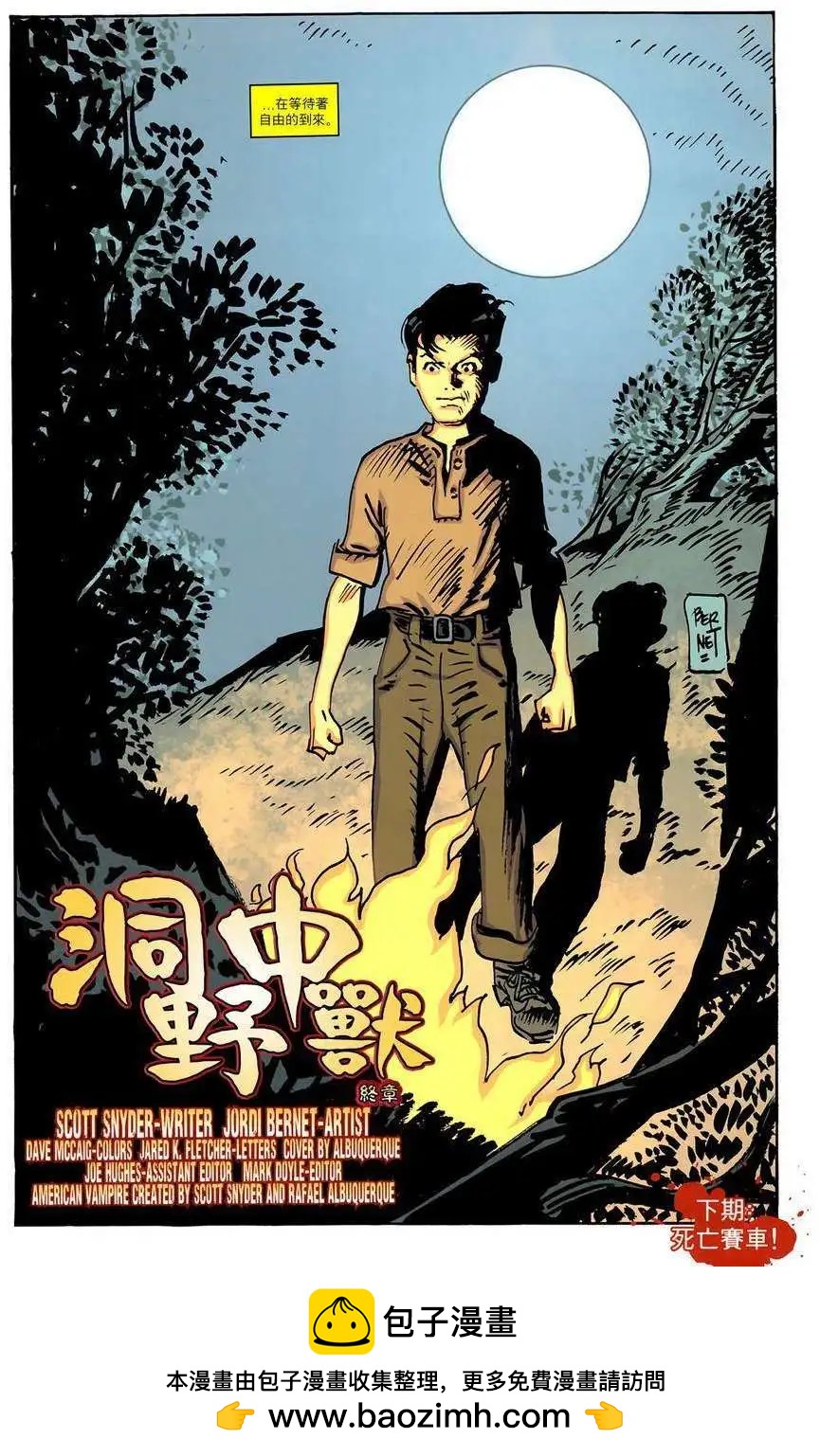 第21卷20