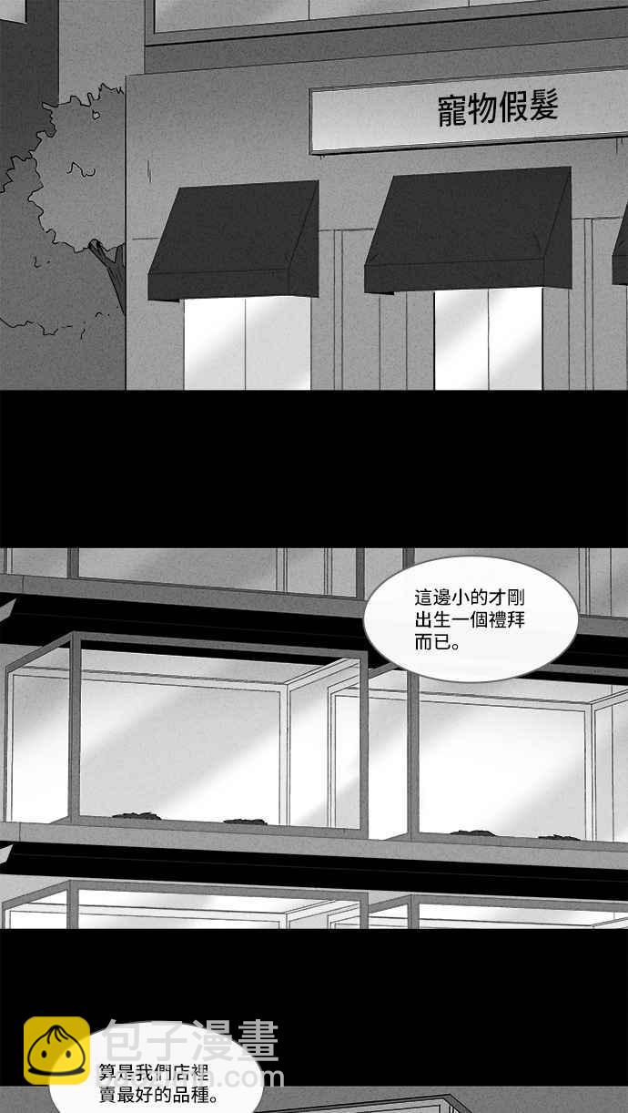 [第139话] 宠物假发 11