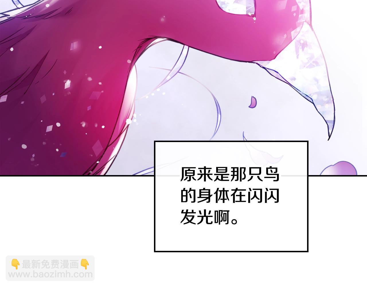 第21话 宝石与飞鸟48