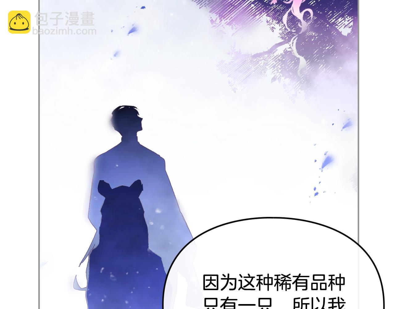 第21话 宝石与飞鸟97