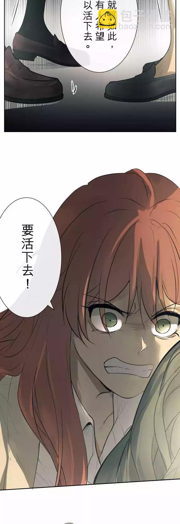 195 围墙(7)17