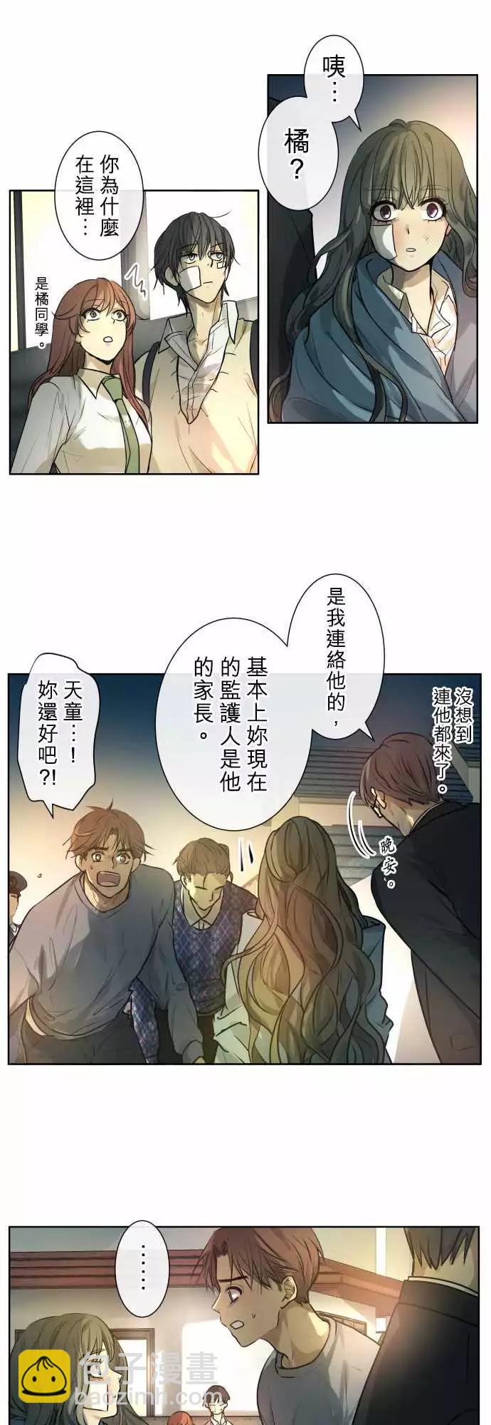 207 围墙(12)11