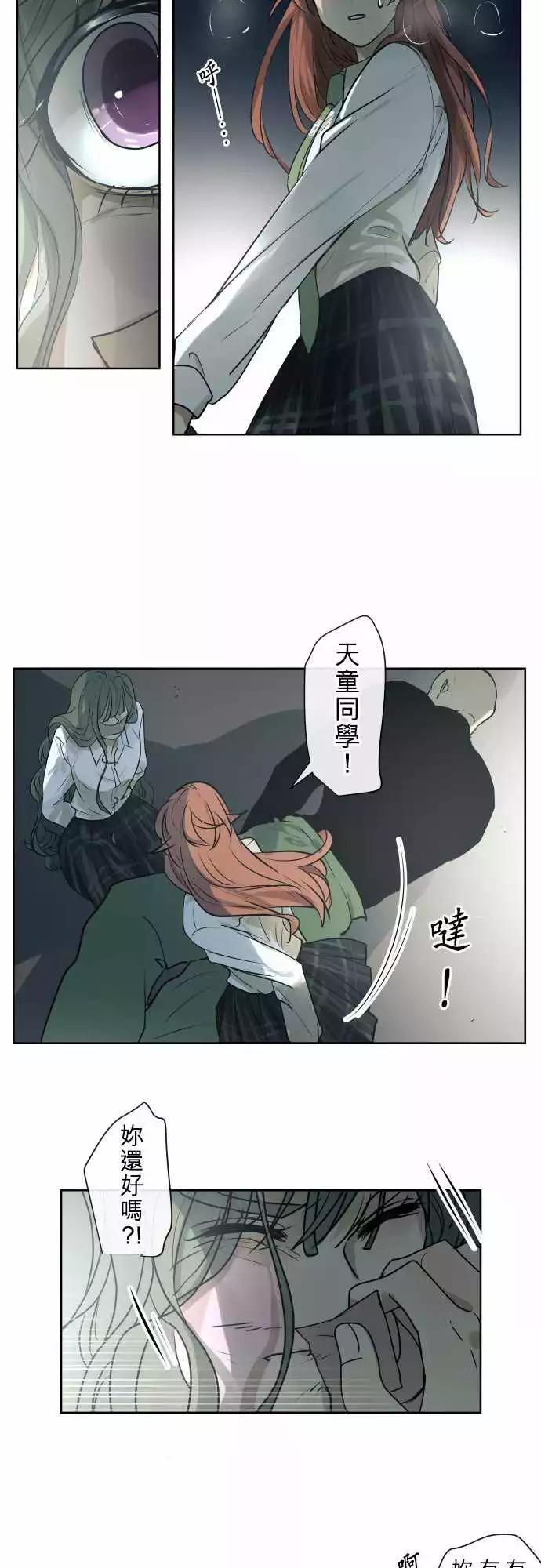 207 围墙(12)5