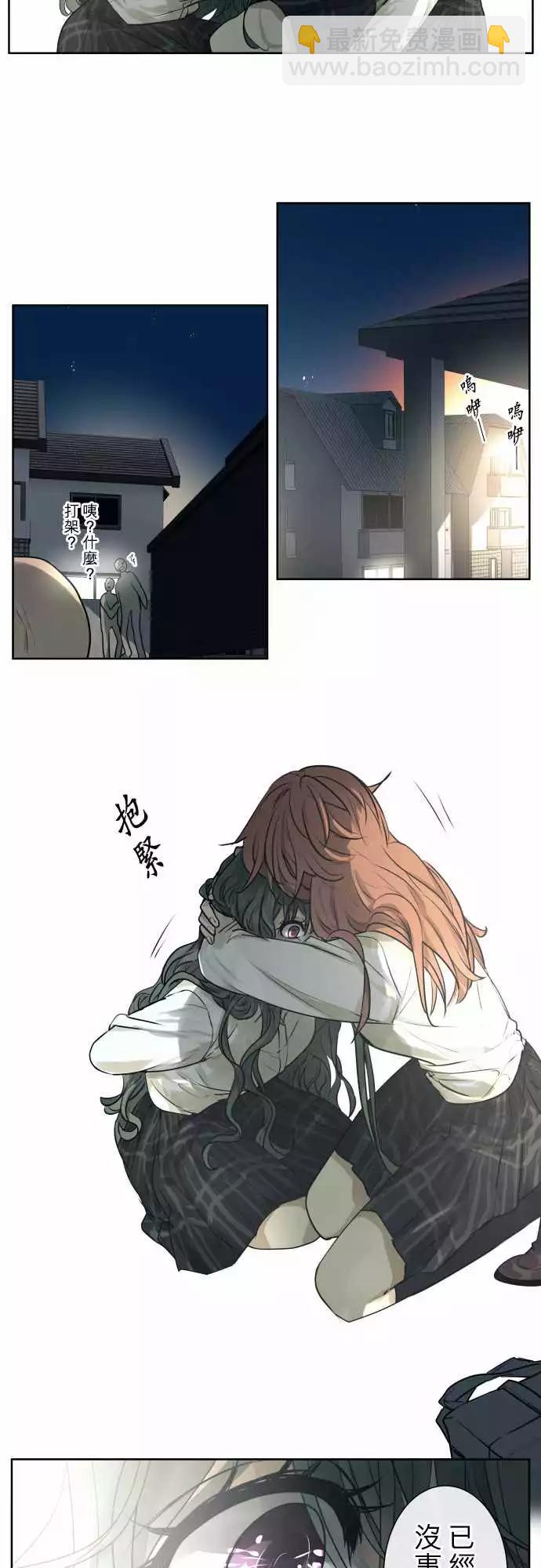 207 围墙(12)7