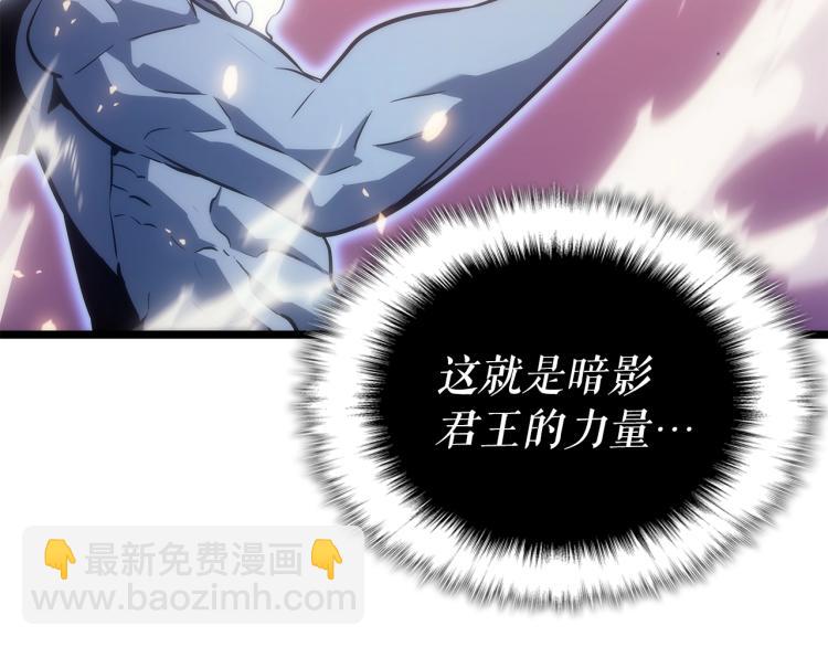 第165话 王的警告66