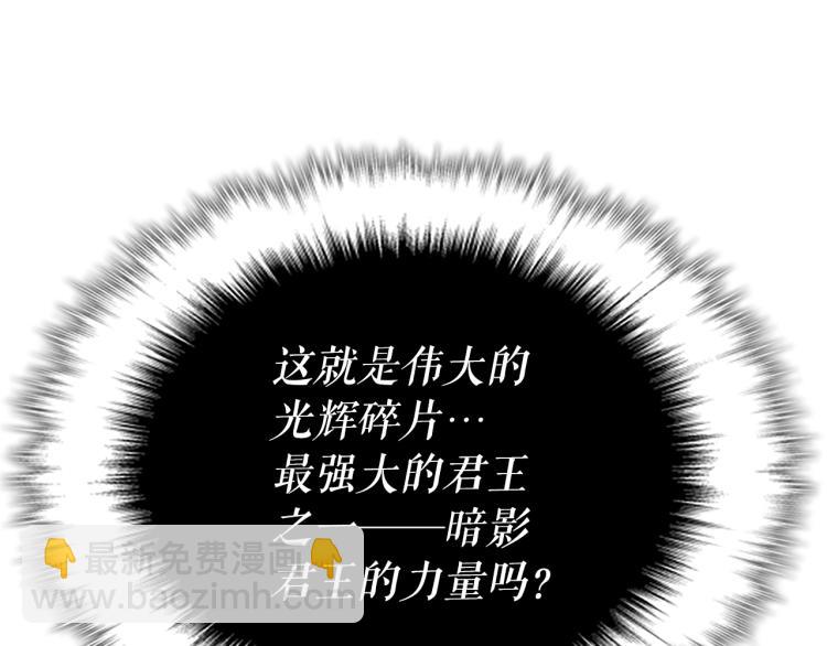 第165话 王的警告67
