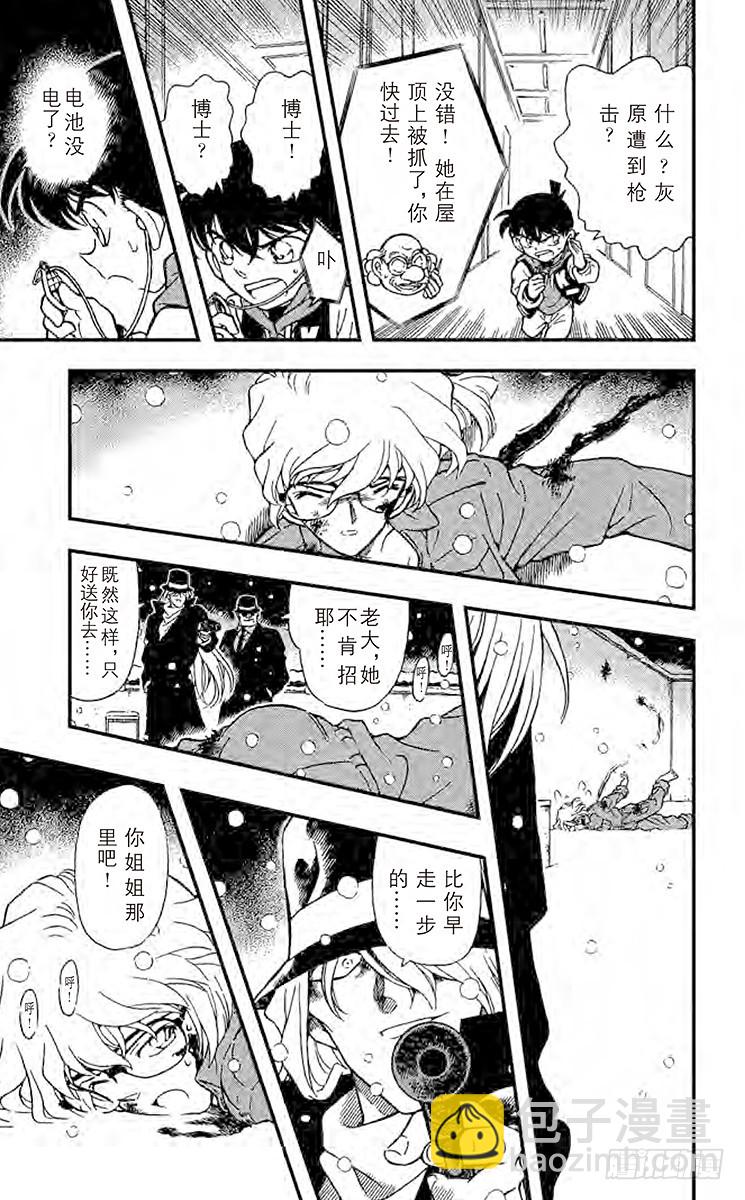 FILE.11 白色世界4
