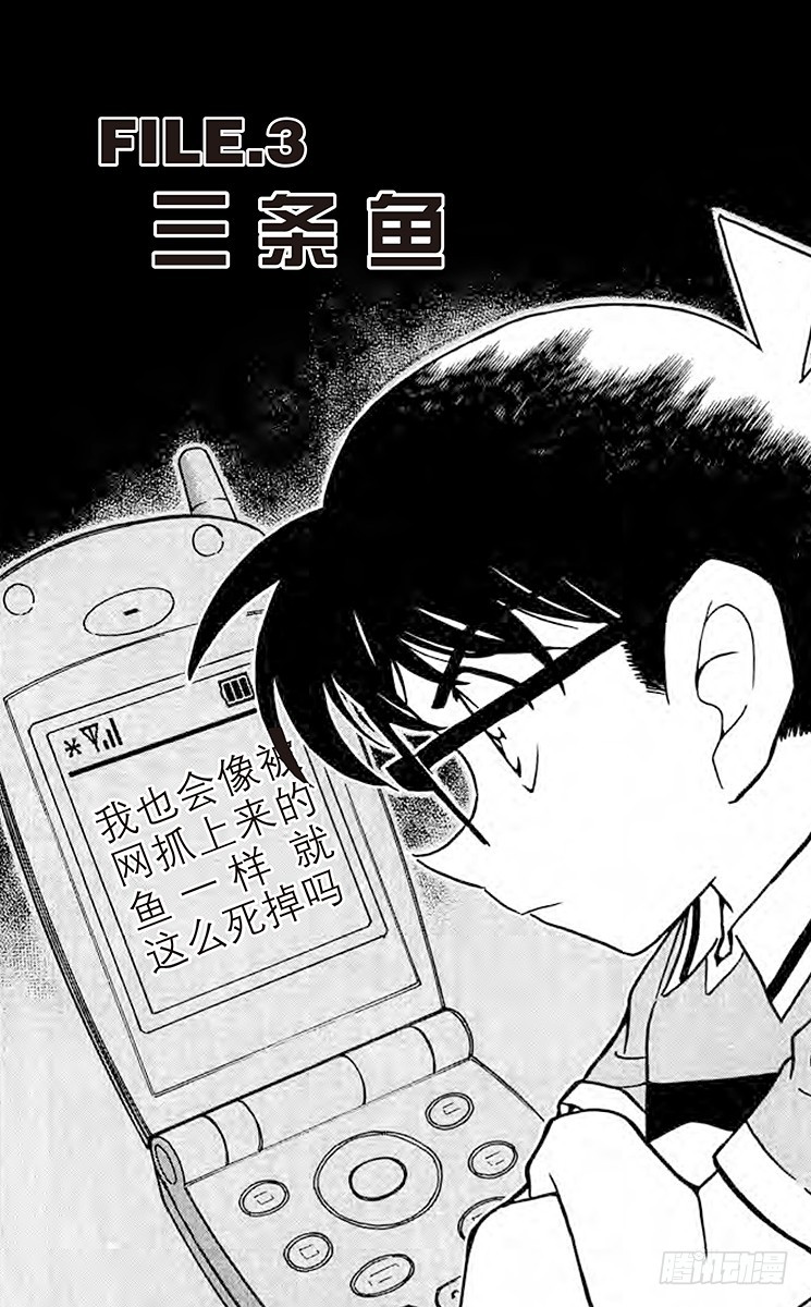 FILE.3 三条鱼0