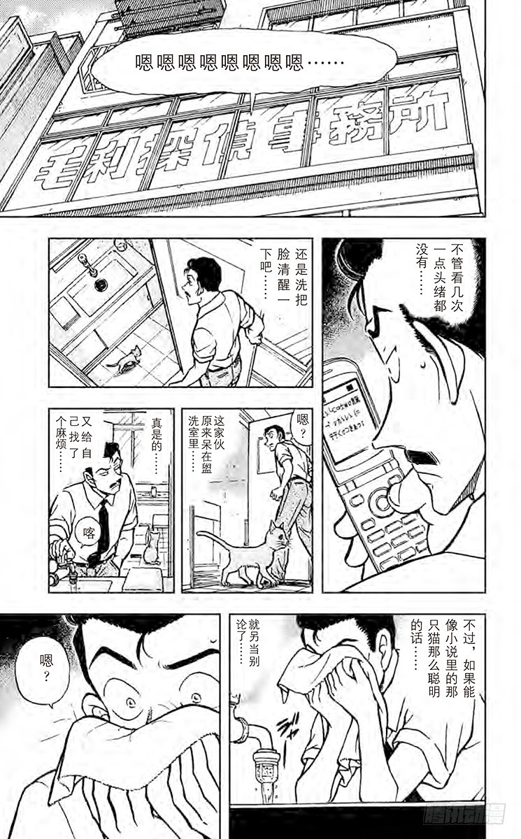 FILE.7 俄罗斯蓝猫10