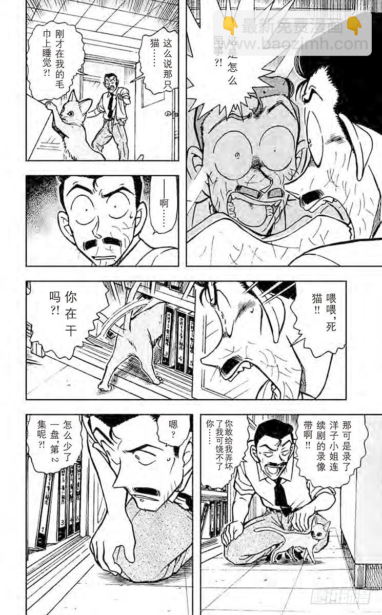 FILE.7 俄罗斯蓝猫11