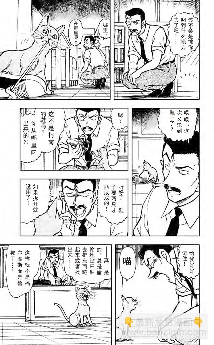 FILE.7 俄罗斯蓝猫12