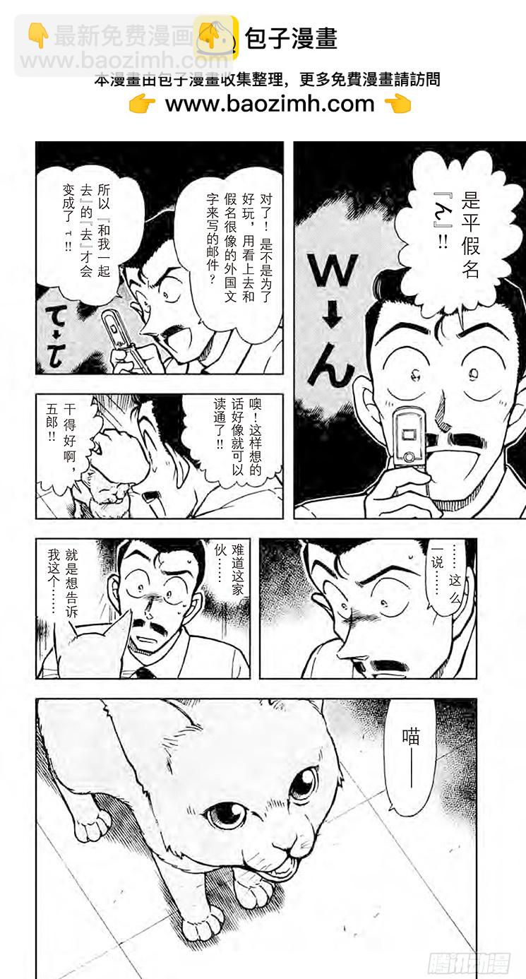 FILE.7 俄罗斯蓝猫15