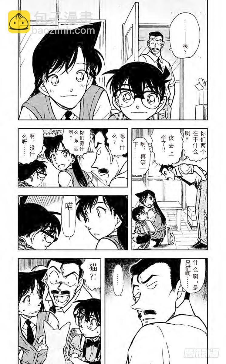 FILE.7 俄罗斯蓝猫2