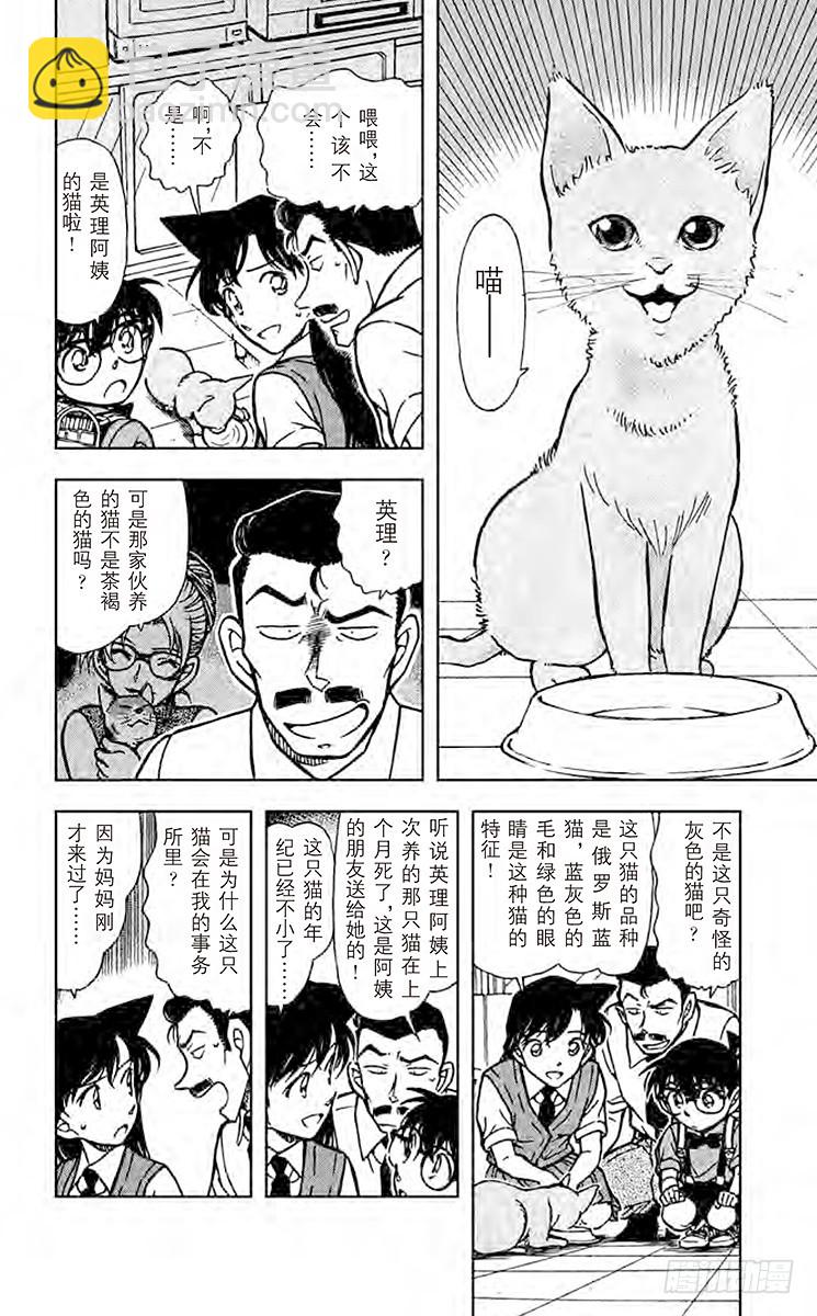 FILE.7 俄罗斯蓝猫3