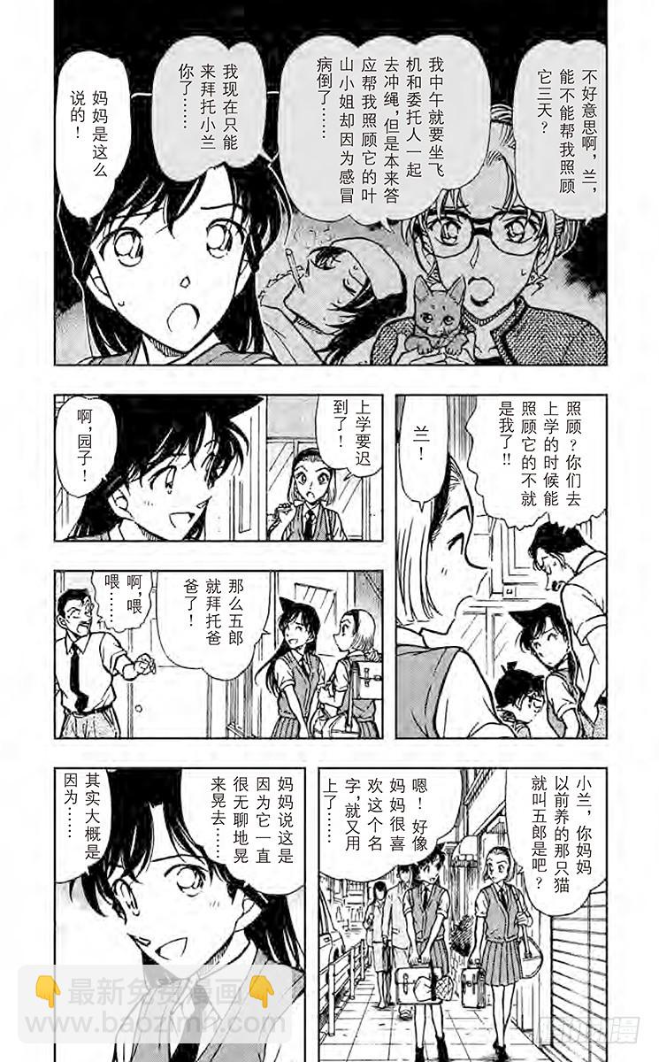 FILE.7 俄罗斯蓝猫4