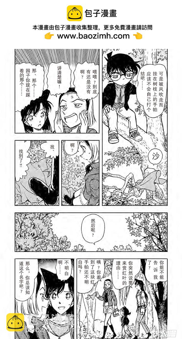 FILE.9 园子的红手帕2