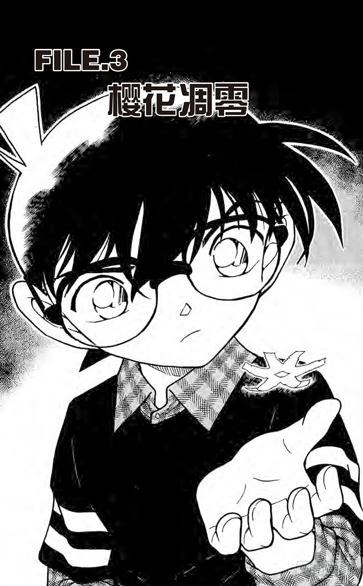 FILE.3 樱花凋零0