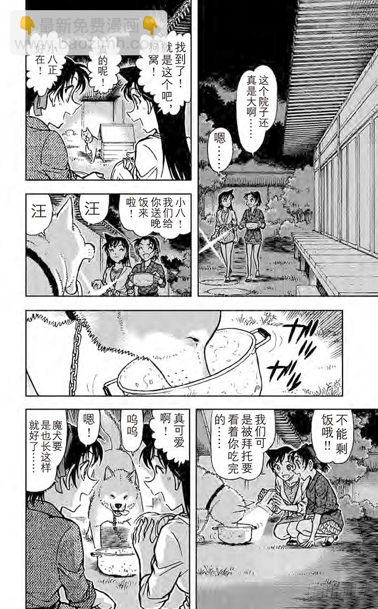 FILE.8 球13