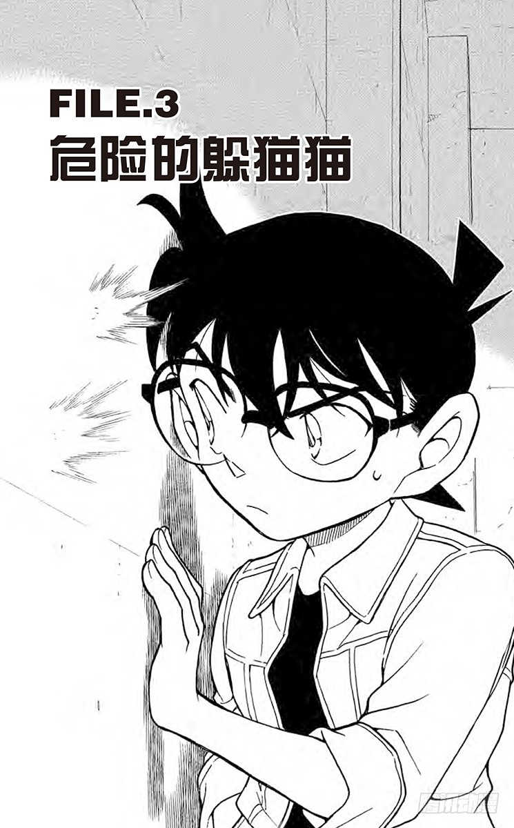 FILE.3 危险的躲猫猫0