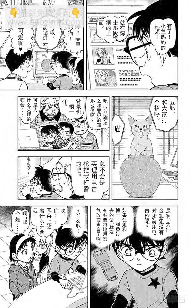 FILE.3 壶和猫14