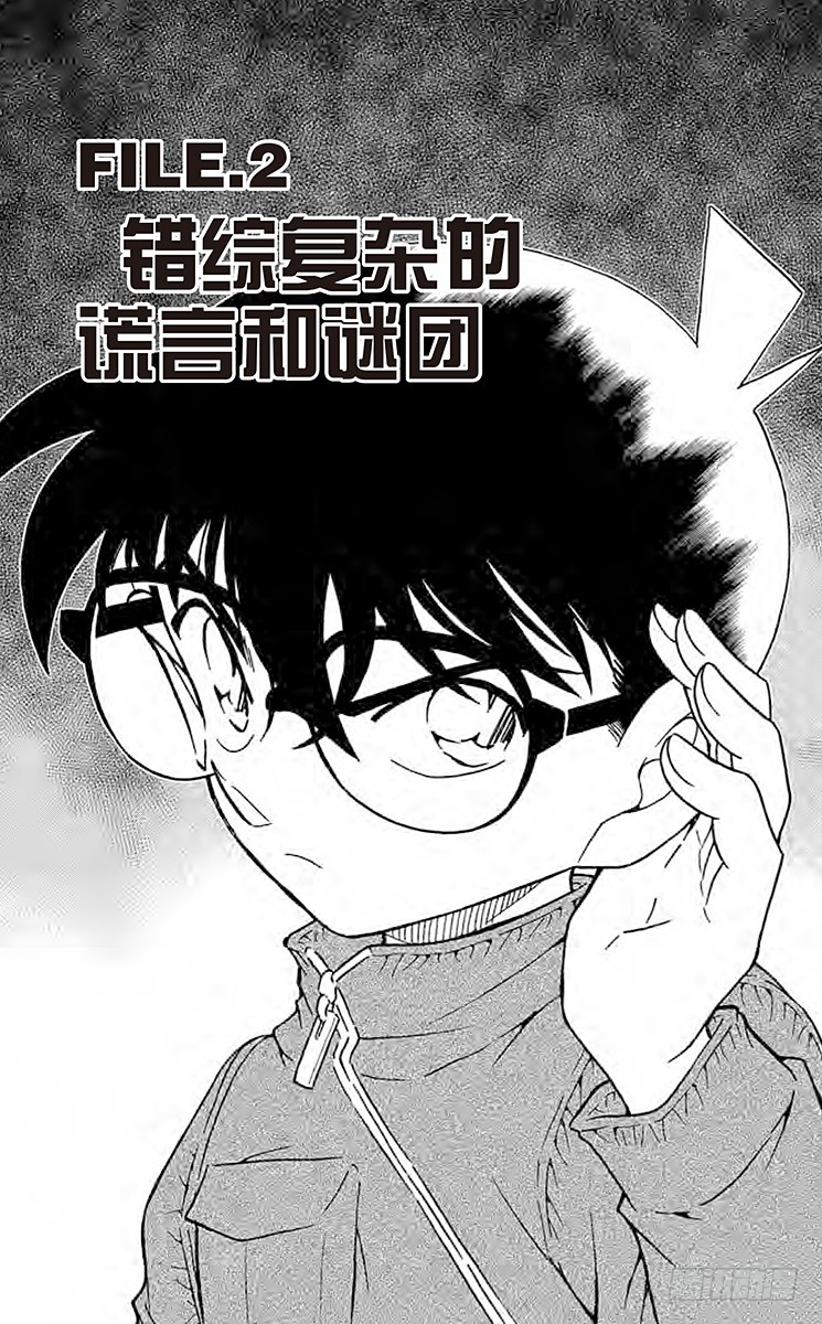 FILE.2 错综复杂的谎言和谜0