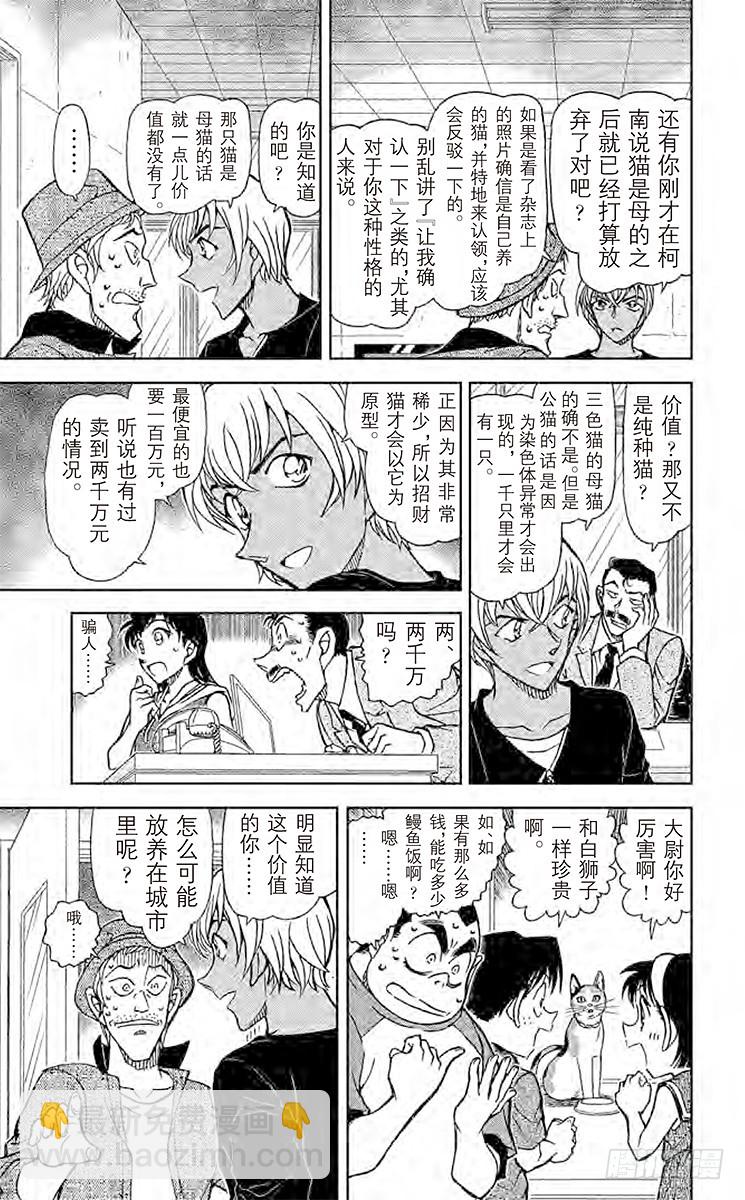 FILE.5 扮猫吃老虎10
