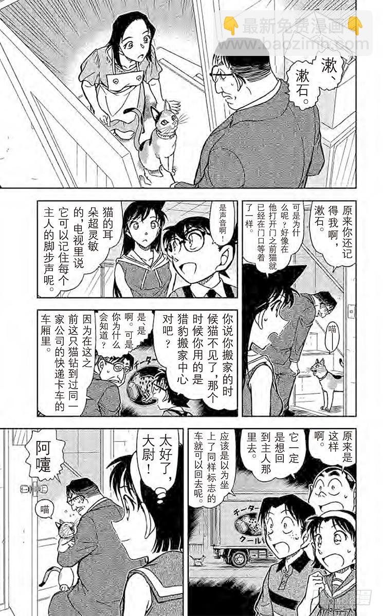 FILE.5 扮猫吃老虎12